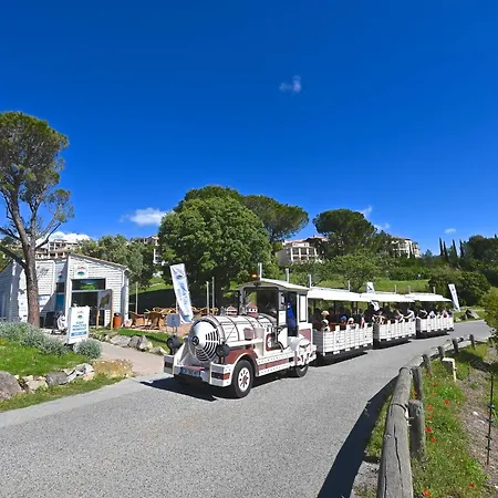 Le Belvedere - D4 257 By Interhome * Сен-Рафаэль