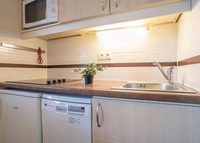 Apartmán Le Belvedere - D4 257 By Interhome *